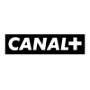 Lead Developer